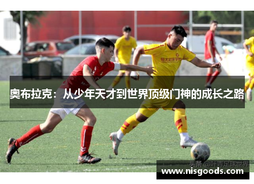 奥布拉克：从少年天才到世界顶级门神的成长之路