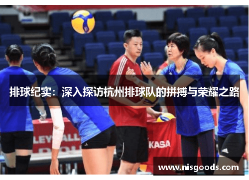 排球纪实：深入探访杭州排球队的拼搏与荣耀之路