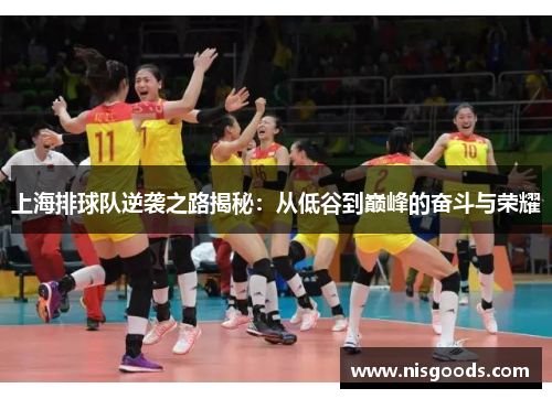 上海排球队逆袭之路揭秘：从低谷到巅峰的奋斗与荣耀